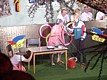 DSC01394.jpg