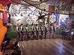 DSC01413.jpg