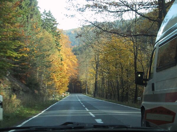 110-1081_IMG.JPG