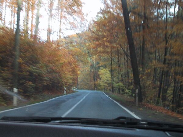 110-1082_IMG.JPG