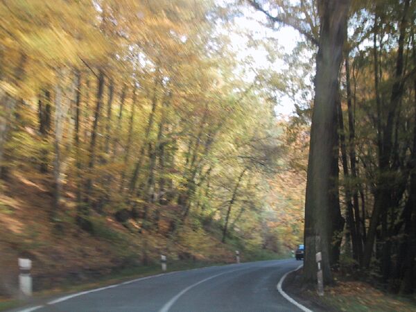 110-1089_IMG.JPG