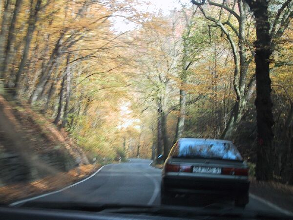 110-1090_IMG.JPG