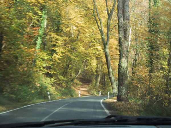 110-1092_IMG.JPG