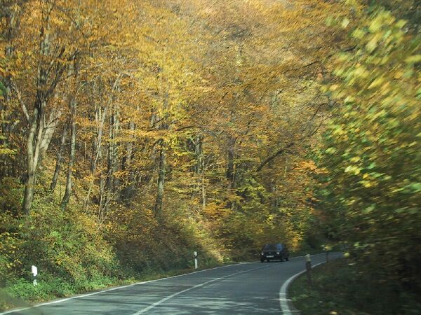 110-1093_IMG.JPG
