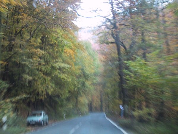 110-1095_IMG.JPG