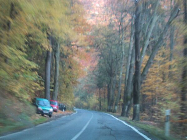 110-1096_IMG.JPG