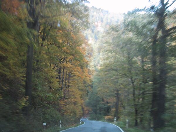 110-1099_IMG.JPG
