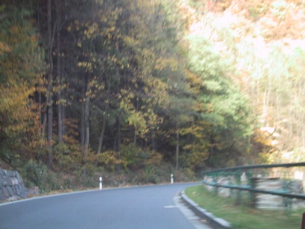110-1100_IMG.JPG
