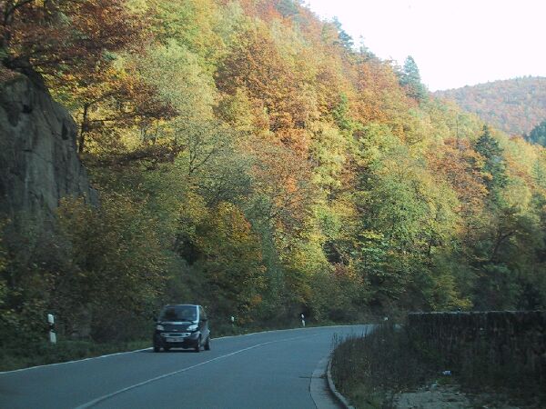 111-1101_IMG.JPG