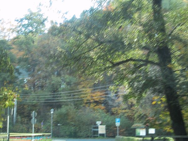 111-1107_IMG.JPG