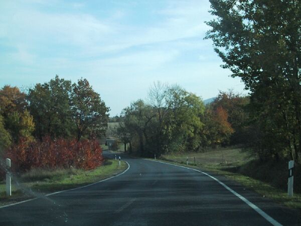 111-1122_IMG.JPG