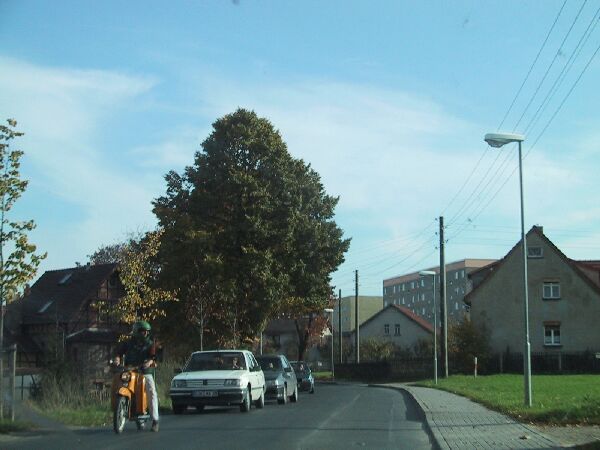 111-1130_IMG.JPG