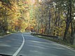 110-1078_IMG.JPG
