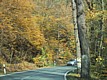 110-1088_IMG.JPG