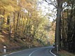 110-1089_IMG.JPG
