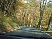 110-1091_IMG.JPG