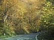 110-1093_IMG.JPG