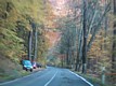 110-1096_IMG.JPG