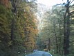 110-1099_IMG.JPG
