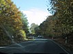 111-1113_IMG.JPG
