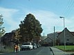 111-1130_IMG.JPG