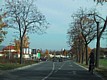 111-1132_IMG.JPG